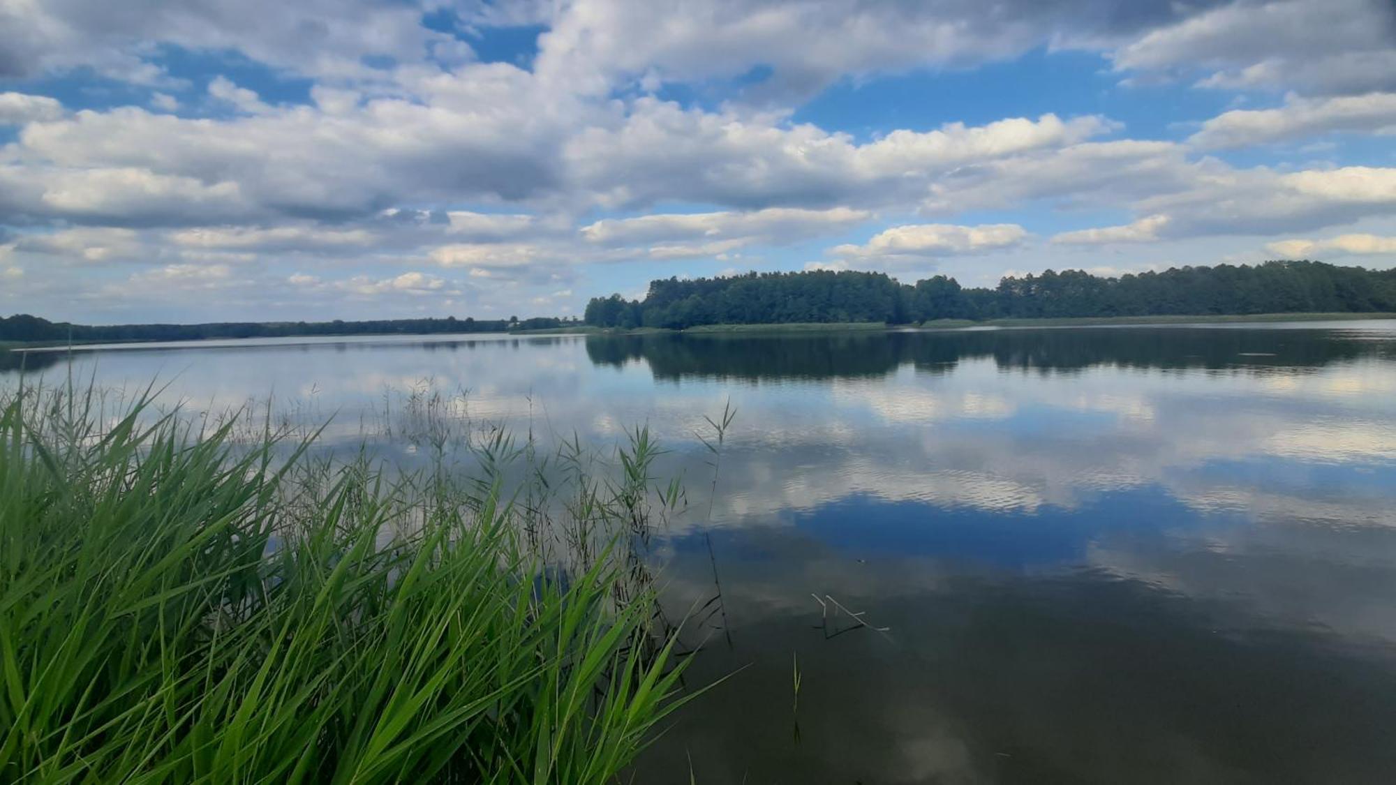 Domek Nad Stawem Bory Tucholskie Swiekatowo Exterior photo